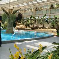 A Day Trip to Beautiful Daejon O-World