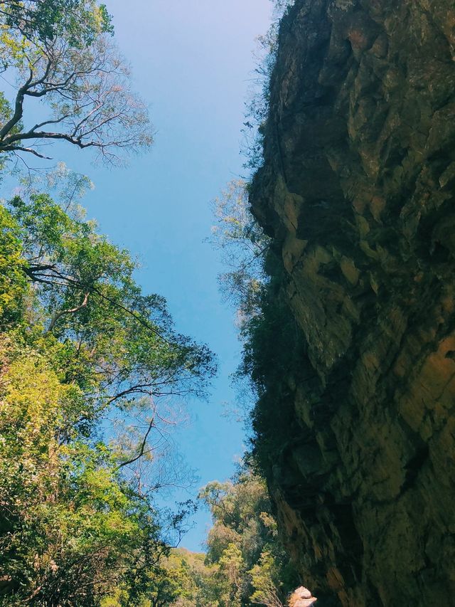 Kaaimans, Wilderness 