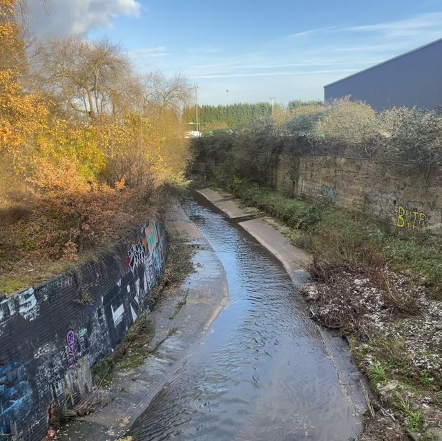 Winter Walks along the Canals