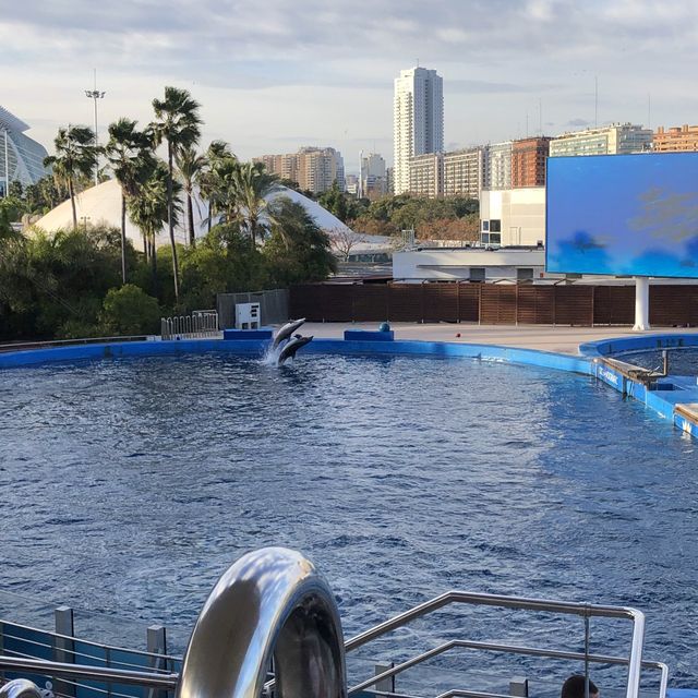 Oceanographic Valencia 