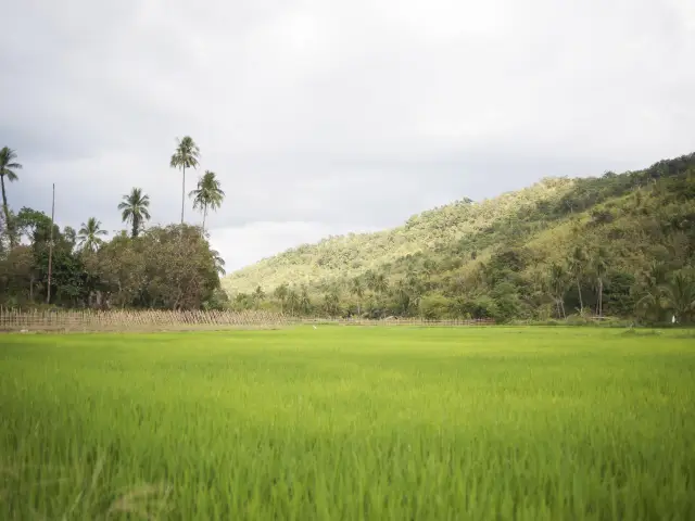 Coron Island / Philippines
