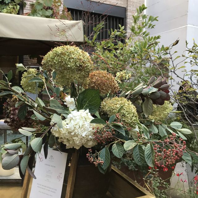A courtyard of flowers 