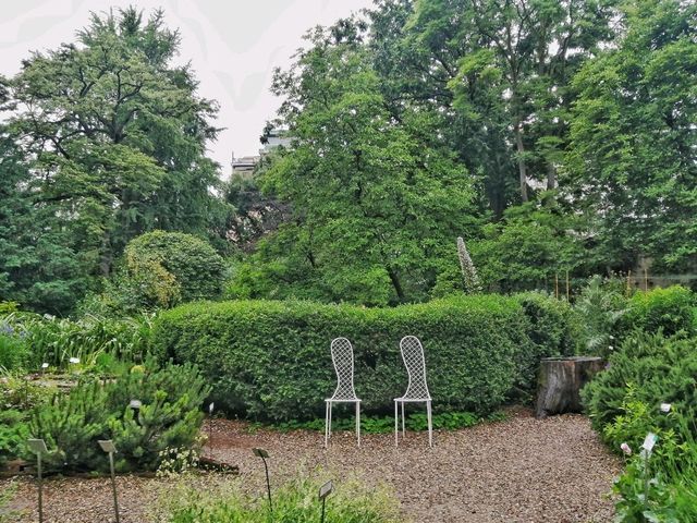 Exploring the Botanical Gardens of Brera in Milan 🌿