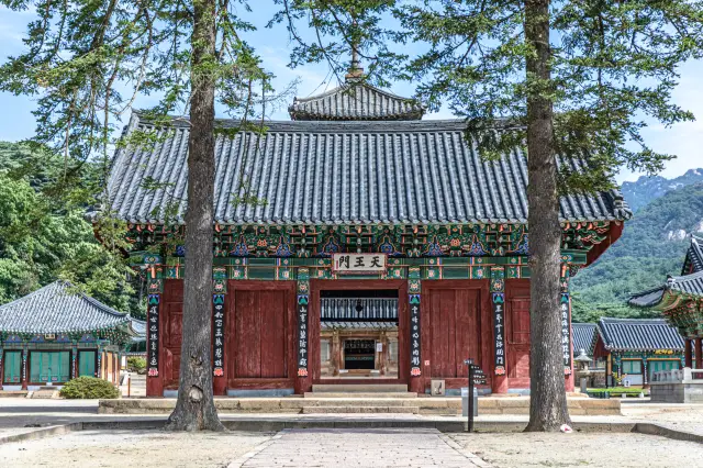 충남 보은 여행 "법주사"