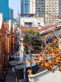 Jing’an Skyline along North Shaanxi Road🍁