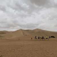 Camel ride in the desert