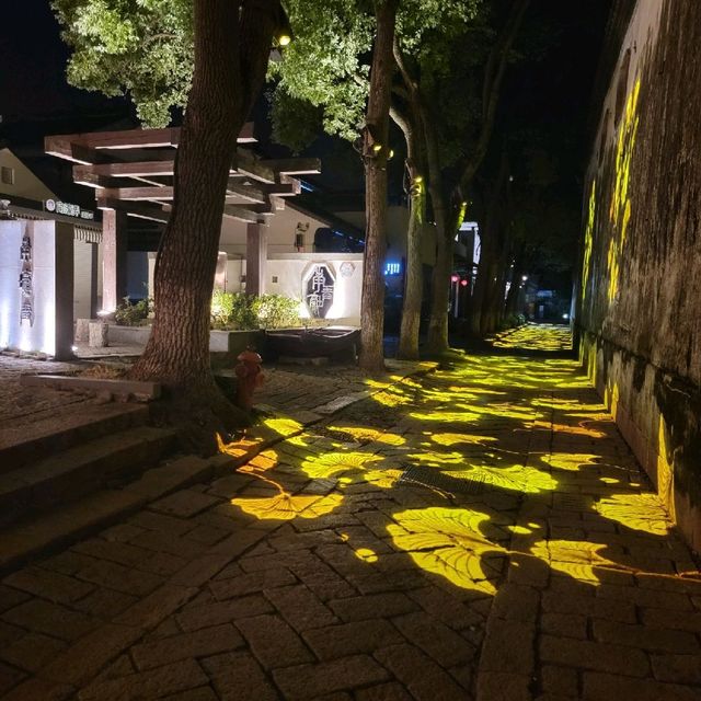 ᴠᴇɴɪᴄᴇ ᴏꜰ ᴄʜɪɴᴀ🇨🇳🥰