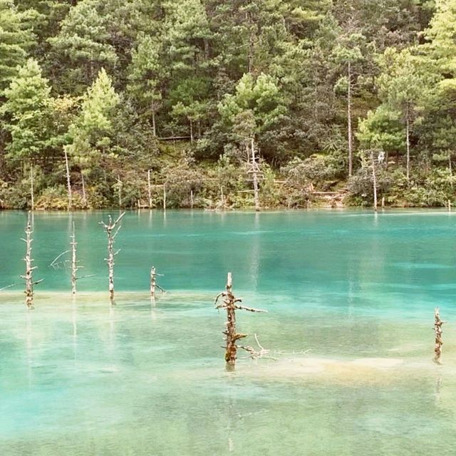 Lake and Nature in Lijiang's Jade Dragon Park