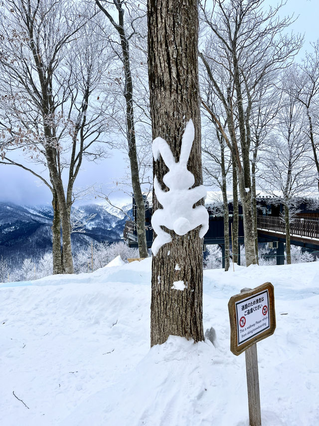 Japan's outdoor sports paradise ❄️ Romantic snow in Hakuba Village