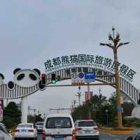 PANDAS 🐼 just gorgeous. Chengdu Research Panda base