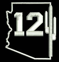 AZ D12 LL - Copper Hills - Umpire Clinic | Anamax Park