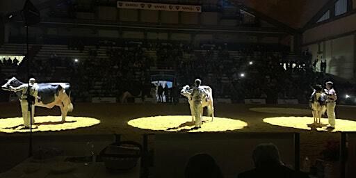 Tribuna V.I.F. Dox-al - Mostra Manze Jersey | Fiera di Cremona