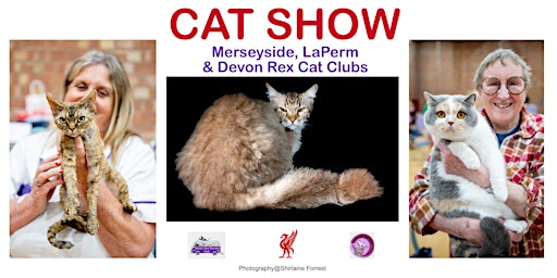 Merseyside Cat Club, Devon Rex Owners Club and LaPerm Cat Shows | Sutton Leisure Centre