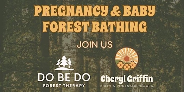 Forest Bumps - Pregnancy Forest Bathing | Worcester Woods Country Park