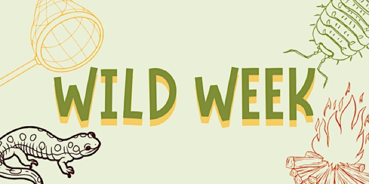 Wild Week | Iver Environment Centre