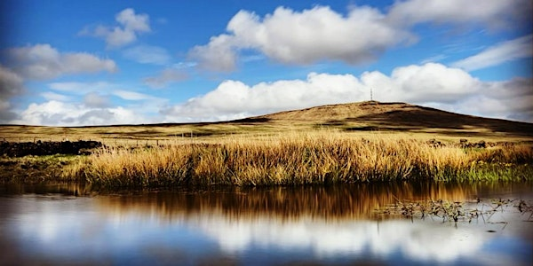 Iphone/ Smartphone Photography with Mal McCann (Féile Arts Masterclass) | Divis & Black Mountain - Main Car Park