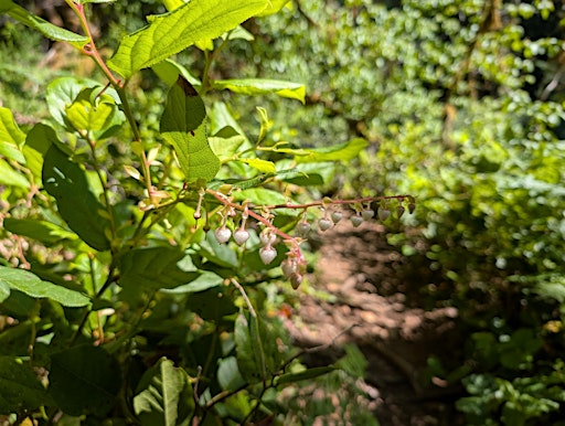 Lazo Marsh Nature Walk | Lazo Marsh Northeast Nature Trails