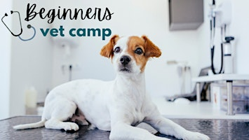 Beginner's Vet Camp - 2026 Session 2 | 4700 S County Rd G