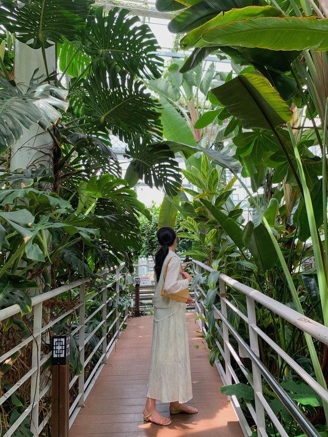 실내에서 찾은 숲 🌲