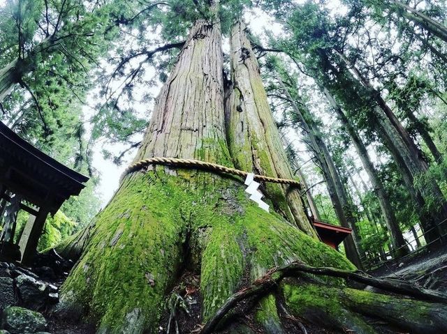 【山梨旅行】富士山の由緒ある神社！！