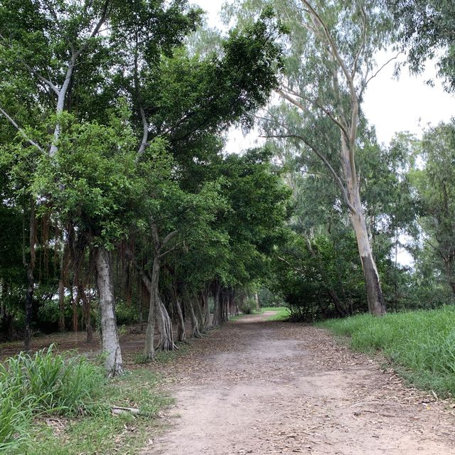 帶你黎香港後花園 ——南生圍🤪
