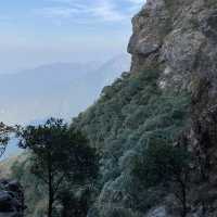 行山 「一樹洞 」沿途驚險