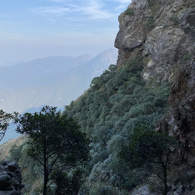 行山 「一樹洞 」沿途驚險