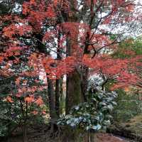 秋の兼六園