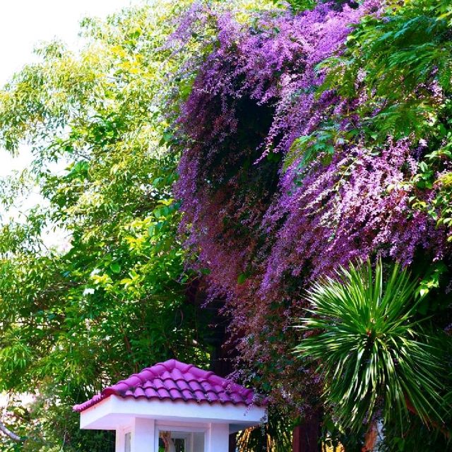 Padre Pio Shrine in Batangas
