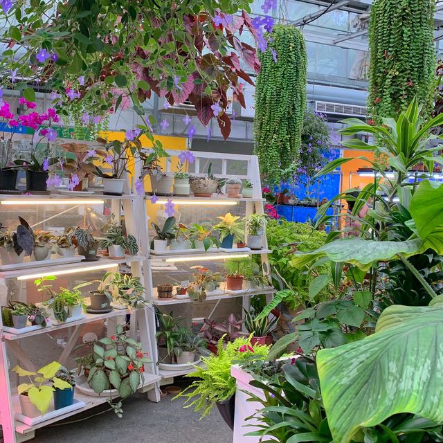 免日曬雨淋！室內花房用餐，享受春季旅行的浪漫氣氛！