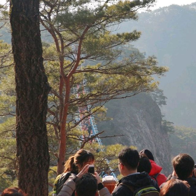 원주 등산 추천 '소금산 출렁다리'