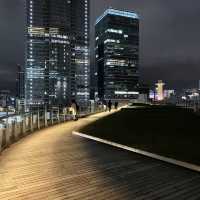 駅舎とビル群の光で輝かしい東京駅