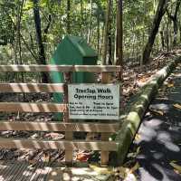 MacRitchie Reservoir and TreeTop Walk! 🌴🍃☀️