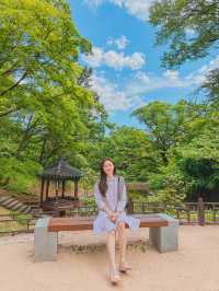 한국의 시크릿 가든 창덕궁 후원🍃