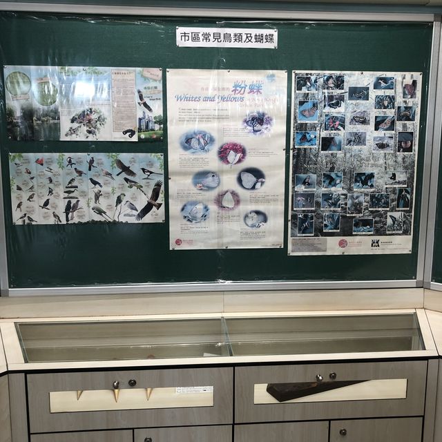 鳥類資料展覽館