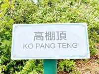高棚頂