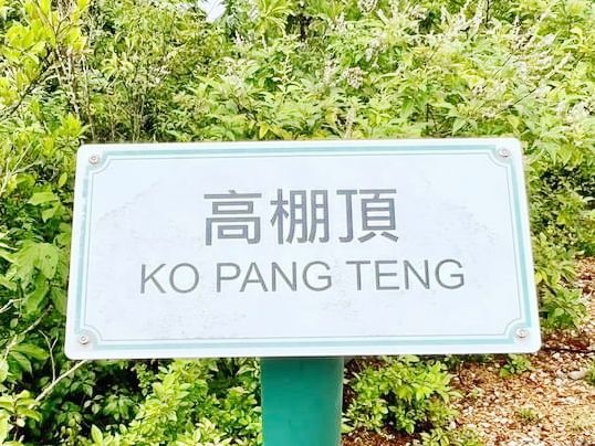 高棚頂