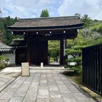 【京都】苔が美しい完全予約制のお寺