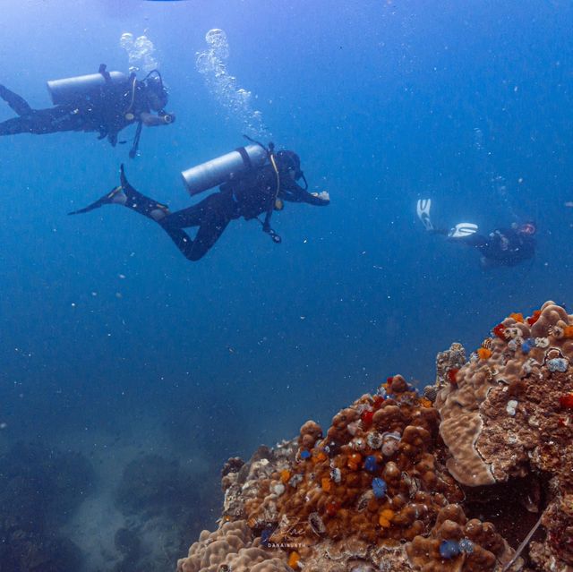 ไปเรียนดำน้ำ OPEN WATER ที่เกาะเต่ากัน🐢