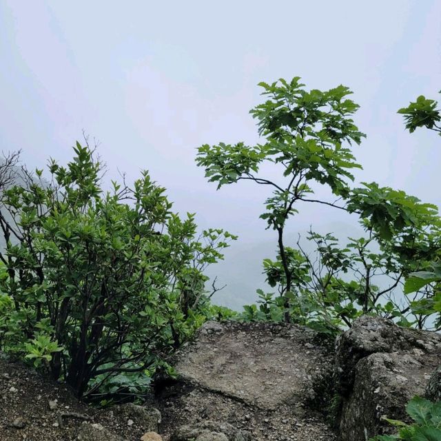 가평여행 축령산 등산