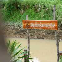 สเต็กริมคลอง@พังงา