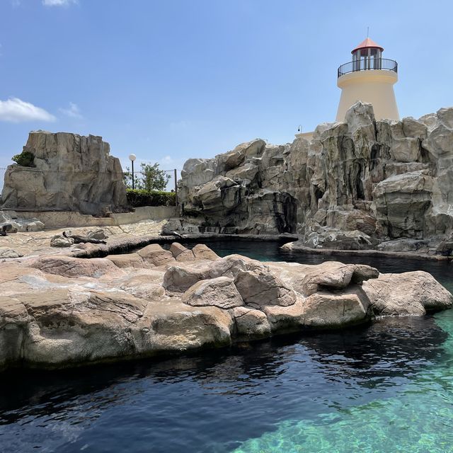 海洋公園生日慢遊