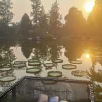 คาเฟ่ในสวน ของหวานเริ่ด มุมถ่ายรูปสุดแซ่บ