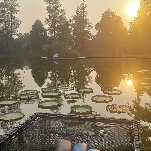 คาเฟ่ในสวน ของหวานเริ่ด มุมถ่ายรูปสุดแซ่บ