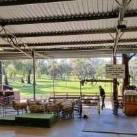 Kids Love Caversham Wildlife Park