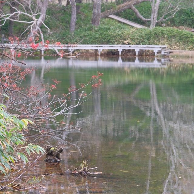 万座温泉・牛池の紅葉