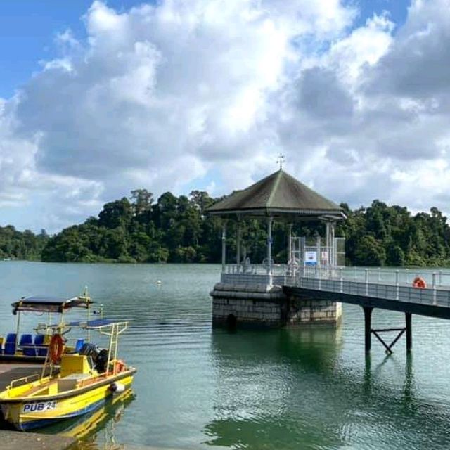 MacRitchie Reservoir