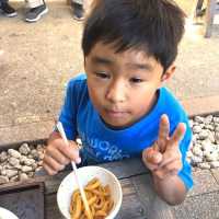 伊勢志摩•鳥羽旅行！鈴鹿サーキット〜伊勢神宮〜夫婦岩〜パルケエスパーニャ！