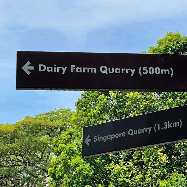 Diary Farm Quarry and Singapore Quarry