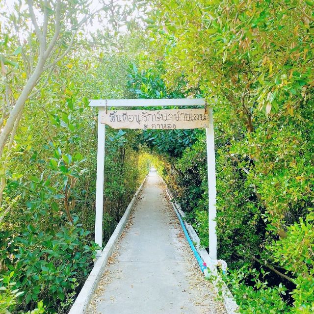 สะพานสายรุ้ง ชายทะลกาหลง